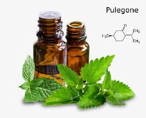 Pulegone Oil