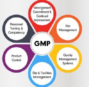 GMP Certification Consultancy