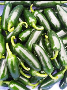 jalapeno peppers