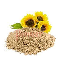 Lecithin Sunflower Powder