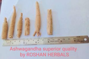 Ashwagandha Roots