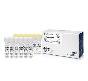 Invitrogen GeneAmp 10X PCR Gold Buffer & MgCl2