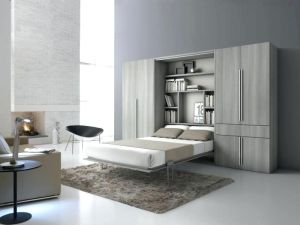 Modern Murphy Bed