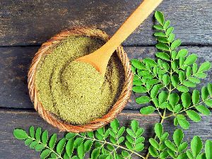 Moringa Powder