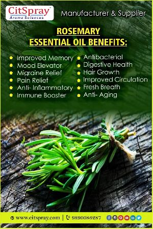 Rosemary Oil