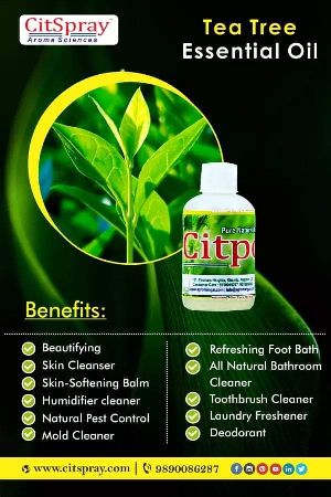 Tea Tree Oil
