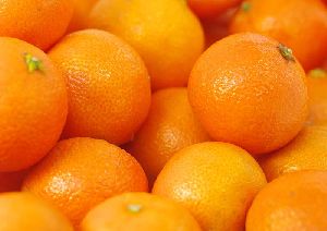 Fresh Kinnow Citrus