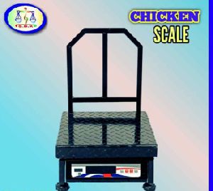 Digital platform Scale machine in Ahmedabad