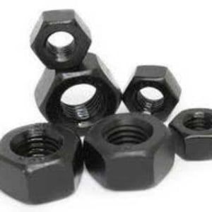 Cold Forged Nuts