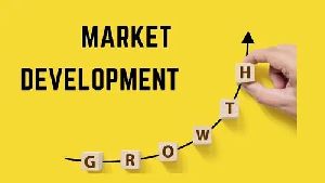 Market Development Services