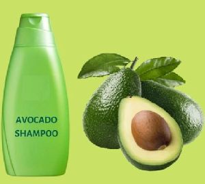 Avocado Shampoo with Conditioner