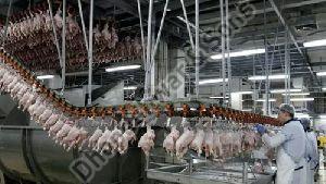 Hybrid Chicken Processing Plant