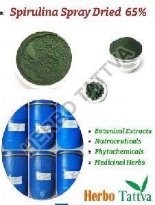 Spray Dried Spirulina Powder 65%