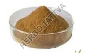 Safed Musli Extract Powder 20% - 40%