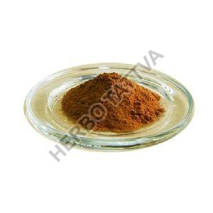 Coleus Forskohlii Extract