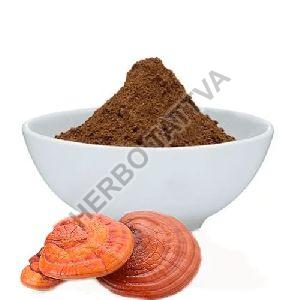 Ganoderma Extract