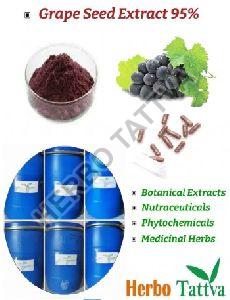 Grape Seed Extract 95%