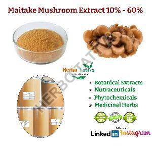 Maitake Mushroom Extract 10%-60%