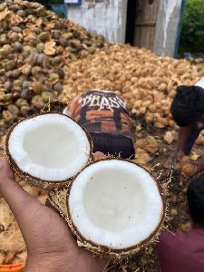 Semi Husk Coconut