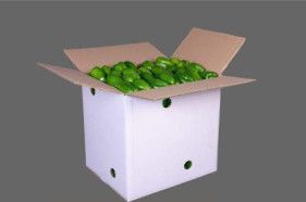 Box vegitable