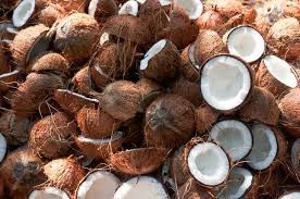 coconut.