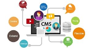 cms development service