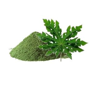 Papaya Leaves Powder