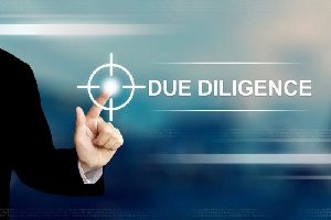 Due Diligence Service