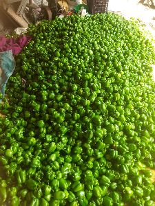 green capsicum 25 kg