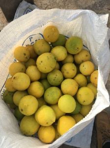 Fresh Lemons