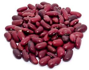 Organic Red Kidney Beans