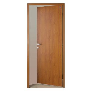 Wood Decor Steel Door
