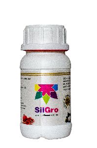 SilGro - Ortho Silicic Acid