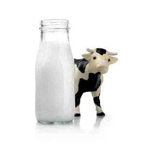 fresh cow milk