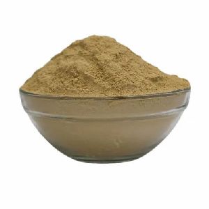 Bhumi Amla Extract Powder