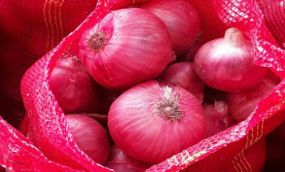 Fresh Red Onion