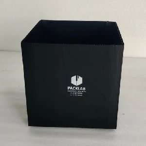 Disposable Polypropylene Box