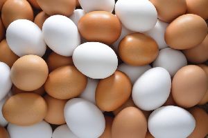 Fresh Eggs