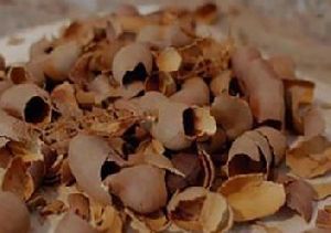 Tamarind Shells