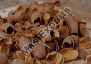 Tamarind Shells