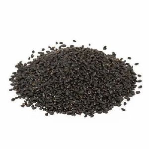 Organic Vana Tulsi Seeds