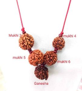 three four five face rudraksha mala