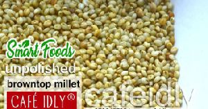 Unpolished Browntop Millet