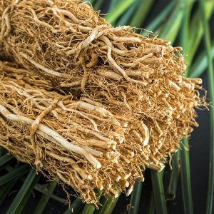 Vetiver Root