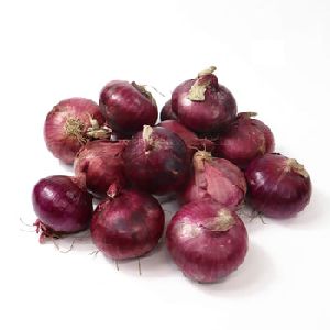 Red Onion