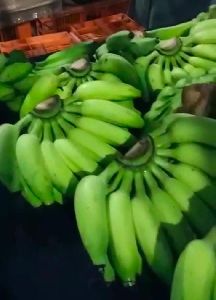 yelakki banana