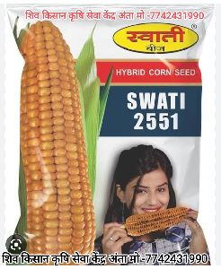 Hybrid corn Swati 2551