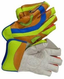 Wicket Keeping Gloves