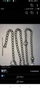 dog chain