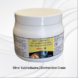 SilGenX